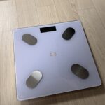 똑똑한 인바디 체중계 후기 (가격, 기능, 연동 어플)