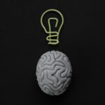 ‘인생이 완전히 바뀐다’ 뇌 건강에 좋은 음식 8