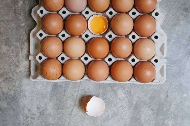 날달걀에 대해 설명하는 글의 썸네일 사진