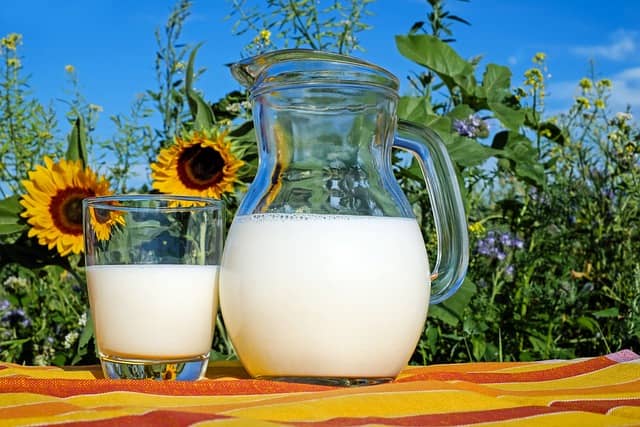 아침 우유에 대해 설명하는 글의 썸네일 사진