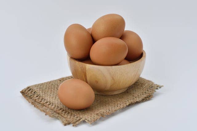 달걀 단백질 흡수율에 대해 설명하는 글의 썸네일 사진