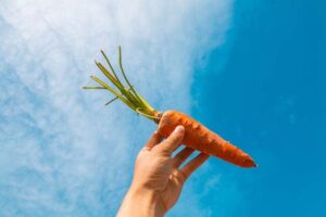 당근 효능: 노화 방지의 슈퍼푸드??