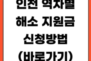 인천 역차별 해소지원금 신청방법｜인천시 최대 5만원 지급 대상·사용처 총정리